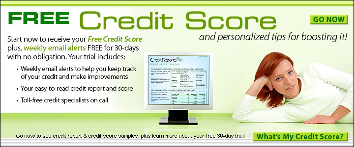 Credit Reports Government